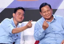 Dua Tahun Prabowo-Gibran: Investasi Naik, tetapi Proyek Padat Modal Belum Serap Banyak Pekerja